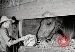 Immagine di Mangimi per animali Michigan United States USA, 1941, secondo 59 filmato di repertorio 65675025814