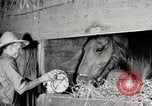Immagine di Mangimi per animali Michigan United States USA, 1941, secondo 60 filmato di repertorio 65675025814