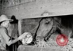 Immagine di Mangimi per animali Michigan United States USA, 1941, secondo 61 filmato di repertorio 65675025814