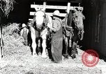 Standbild Farm Life Michigan United States USA, 1941, aus Sekunde 8 historischem Filmmaterial Videoclip 65675025816