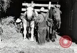 Standbild Farm Life Michigan United States USA, 1941, aus Sekunde 9 historischem Filmmaterial Videoclip 65675025816