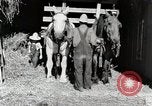 Standbild Farm Life Michigan United States USA, 1941, aus Sekunde 10 historischem Filmmaterial Videoclip 65675025816