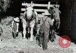 Standbild Farm Life Michigan United States USA, 1941, aus Sekunde 11 historischem Filmmaterial Videoclip 65675025816