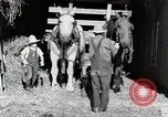 Standbild Farm Life Michigan United States USA, 1941, aus Sekunde 12 historischem Filmmaterial Videoclip 65675025816