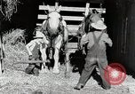 Standbild Farm Life Michigan United States USA, 1941, aus Sekunde 13 historischem Filmmaterial Videoclip 65675025816