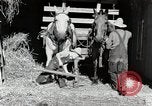 Standbild Farm Life Michigan United States USA, 1941, aus Sekunde 14 historischem Filmmaterial Videoclip 65675025816