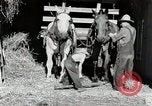 Standbild Farm Life Michigan United States USA, 1941, aus Sekunde 15 historischem Filmmaterial Videoclip 65675025816
