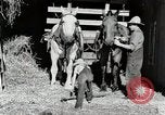 Standbild Farm Life Michigan United States USA, 1941, aus Sekunde 16 historischem Filmmaterial Videoclip 65675025816