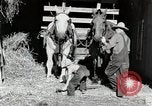 Standbild Farm Life Michigan United States USA, 1941, aus Sekunde 17 historischem Filmmaterial Videoclip 65675025816