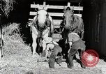 Standbild Farm Life Michigan United States USA, 1941, aus Sekunde 18 historischem Filmmaterial Videoclip 65675025816