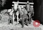 Standbild Farm Life Michigan United States USA, 1941, aus Sekunde 21 historischem Filmmaterial Videoclip 65675025816