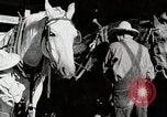 Standbild Farm Life Michigan United States USA, 1941, aus Sekunde 23 historischem Filmmaterial Videoclip 65675025816
