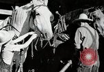 Standbild Farm Life Michigan United States USA, 1941, aus Sekunde 25 historischem Filmmaterial Videoclip 65675025816