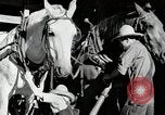 Standbild Farm Life Michigan United States USA, 1941, aus Sekunde 28 historischem Filmmaterial Videoclip 65675025816