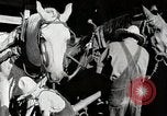 Standbild Farm Life Michigan United States USA, 1941, aus Sekunde 31 historischem Filmmaterial Videoclip 65675025816