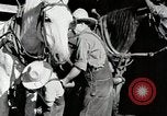Standbild Farm Life Michigan United States USA, 1941, aus Sekunde 35 historischem Filmmaterial Videoclip 65675025816