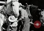 Standbild Farm Life Michigan United States USA, 1941, aus Sekunde 36 historischem Filmmaterial Videoclip 65675025816