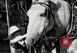 Standbild Farm Life Michigan United States USA, 1941, aus Sekunde 39 historischem Filmmaterial Videoclip 65675025816