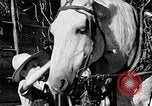 Standbild Farm Life Michigan United States USA, 1941, aus Sekunde 40 historischem Filmmaterial Videoclip 65675025816