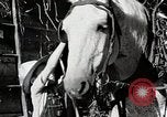 Standbild Farm Life Michigan United States USA, 1941, aus Sekunde 41 historischem Filmmaterial Videoclip 65675025816