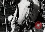 Standbild Farm Life Michigan United States USA, 1941, aus Sekunde 42 historischem Filmmaterial Videoclip 65675025816
