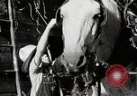 Standbild Farm Life Michigan United States USA, 1941, aus Sekunde 43 historischem Filmmaterial Videoclip 65675025816