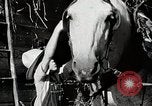 Standbild Farm Life Michigan United States USA, 1941, aus Sekunde 44 historischem Filmmaterial Videoclip 65675025816