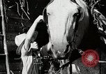 Standbild Farm Life Michigan United States USA, 1941, aus Sekunde 45 historischem Filmmaterial Videoclip 65675025816