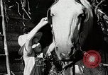 Standbild Farm Life Michigan United States USA, 1941, aus Sekunde 46 historischem Filmmaterial Videoclip 65675025816