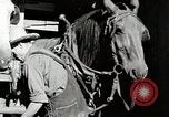 Standbild Farm Life Michigan United States USA, 1941, aus Sekunde 47 historischem Filmmaterial Videoclip 65675025816