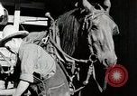 Standbild Farm Life Michigan United States USA, 1941, aus Sekunde 49 historischem Filmmaterial Videoclip 65675025816