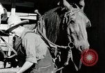 Standbild Farm Life Michigan United States USA, 1941, aus Sekunde 50 historischem Filmmaterial Videoclip 65675025816