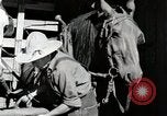 Standbild Farm Life Michigan United States USA, 1941, aus Sekunde 51 historischem Filmmaterial Videoclip 65675025816