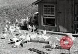 Standbild Farm Life Michigan United States USA, 1941, aus Sekunde 60 historischem Filmmaterial Videoclip 65675025816