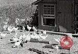Standbild Farm Life Michigan United States USA, 1941, aus Sekunde 61 historischem Filmmaterial Videoclip 65675025816