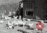 Standbild Farm Life Michigan United States USA, 1941, aus Sekunde 62 historischem Filmmaterial Videoclip 65675025816