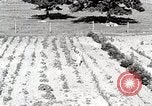 Image farm life Michigan United States USA, 1941, de la seconde 9 séquences d'archives historiques vidéo 65675025817