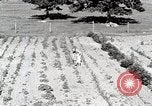 Image farm life Michigan United States USA, 1941, de la seconde 10 séquences d'archives historiques vidéo 65675025817