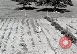 Image farm life Michigan United States USA, 1941, de la seconde 11 séquences d'archives historiques vidéo 65675025817