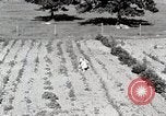 Image farm life Michigan United States USA, 1941, de la seconde 12 séquences d'archives historiques vidéo 65675025817