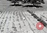 Image farm life Michigan United States USA, 1941, de la seconde 13 séquences d'archives historiques vidéo 65675025817