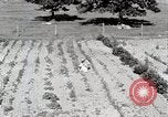 Image farm life Michigan United States USA, 1941, de la seconde 14 séquences d'archives historiques vidéo 65675025817