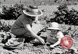 Image farm life Michigan United States USA, 1941, de la seconde 18 séquences d'archives historiques vidéo 65675025817
