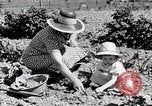 Image farm life Michigan United States USA, 1941, de la seconde 19 séquences d'archives historiques vidéo 65675025817