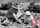 Image farm life Michigan United States USA, 1941, de la seconde 20 séquences d'archives historiques vidéo 65675025817