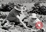 Image farm life Michigan United States USA, 1941, de la seconde 22 séquences d'archives historiques vidéo 65675025817