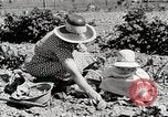 Image farm life Michigan United States USA, 1941, de la seconde 23 séquences d'archives historiques vidéo 65675025817