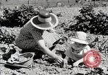 Image farm life Michigan United States USA, 1941, de la seconde 24 séquences d'archives historiques vidéo 65675025817
