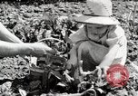 Image farm life Michigan United States USA, 1941, de la seconde 25 séquences d'archives historiques vidéo 65675025817