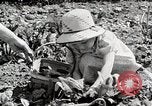 Image farm life Michigan United States USA, 1941, de la seconde 26 séquences d'archives historiques vidéo 65675025817